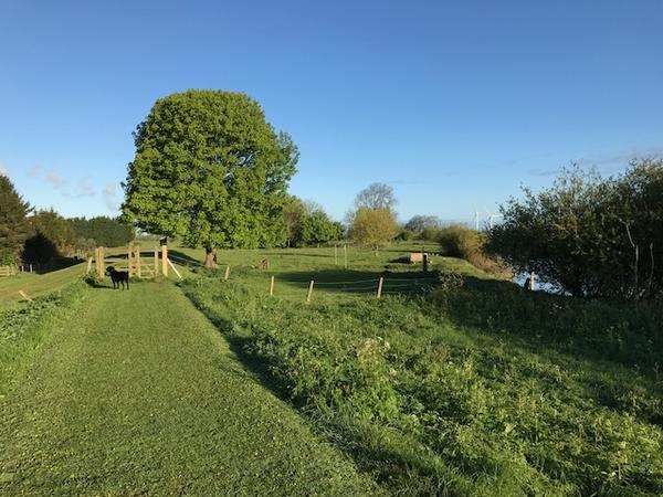 Housesitting assignment in Howden, United Kingdom