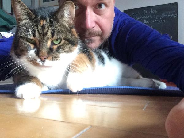 Housesitting assignment in Montréal, QC, Canada