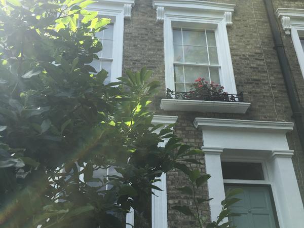 Housesitting assignment in London, United Kingdom