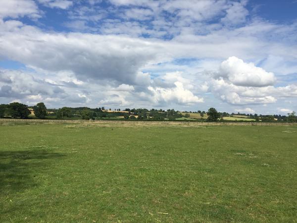Housesitting assignment in Rugby, United Kingdom