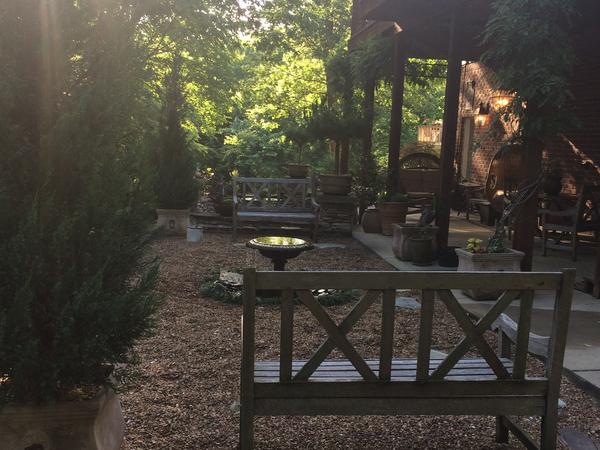 Housesitting assignment in Nashville, Tennessee, United States