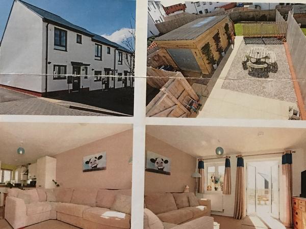 Housesitting assignment in Exeter, United Kingdom