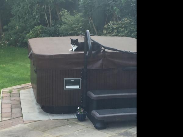 Housesitting assignment in Old Hall Green, United Kingdom
