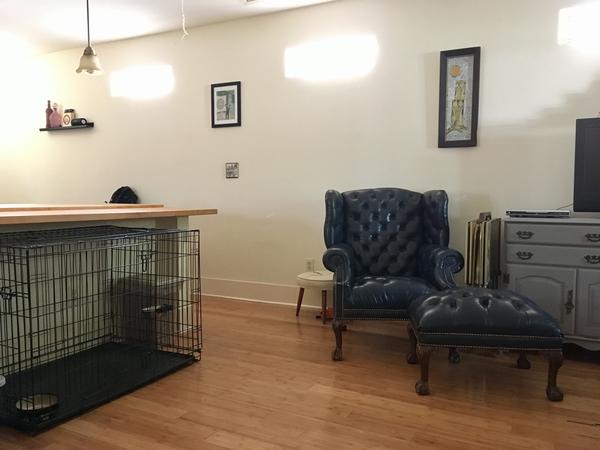 Housesitting assignment in Houston Heights, TX, United States