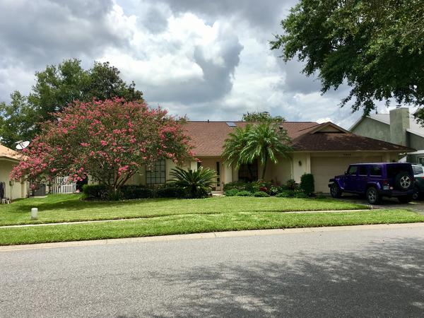 Housesitting assignment in Orlando, FL, United States