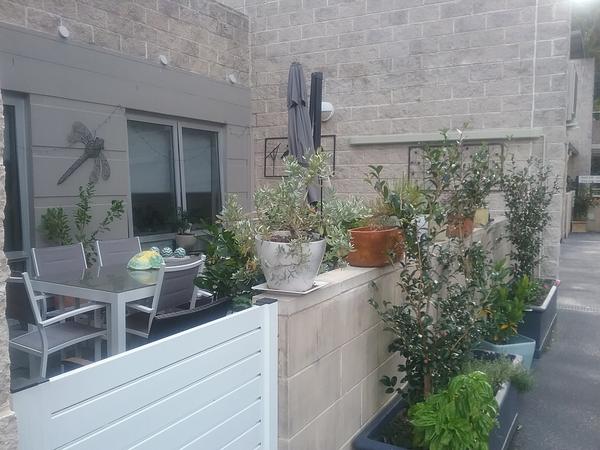 Housesitting assignment in Bay View, NSW, Australia