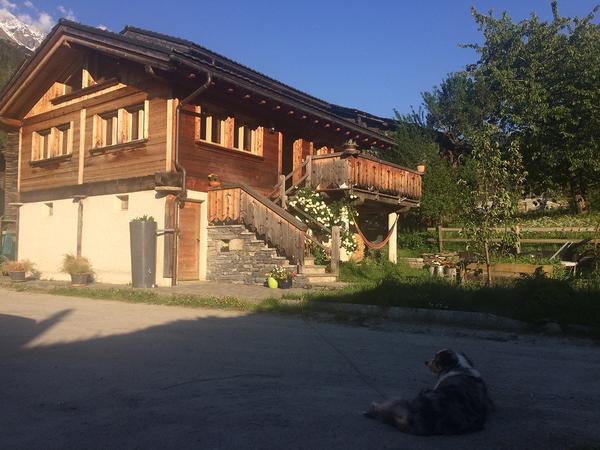 Housesitting assignment in Prarreyer, Switzerland