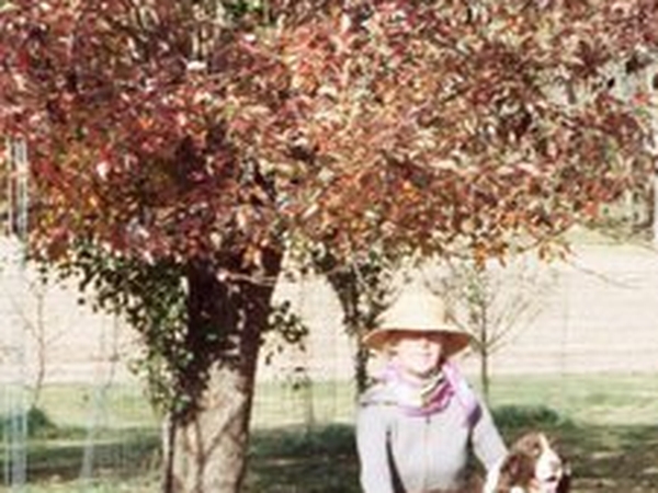 Dana from Alexandria, VA, United States