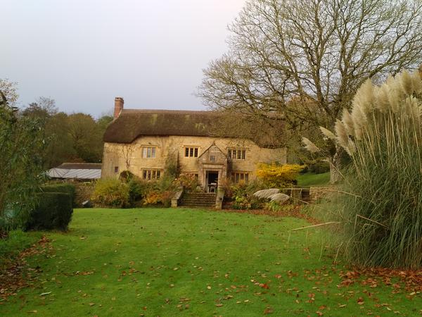 Housesitting assignment in Broadwindsor, United Kingdom