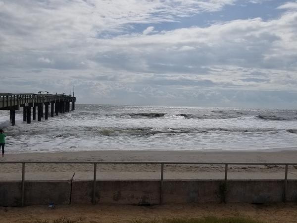 Housesitting assignment in Saint Augustine, Florida, United States