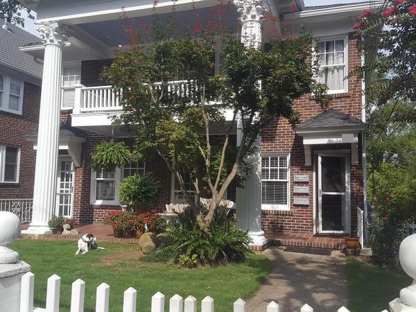 Housesitting assignment in Atlanta, Georgia, United States