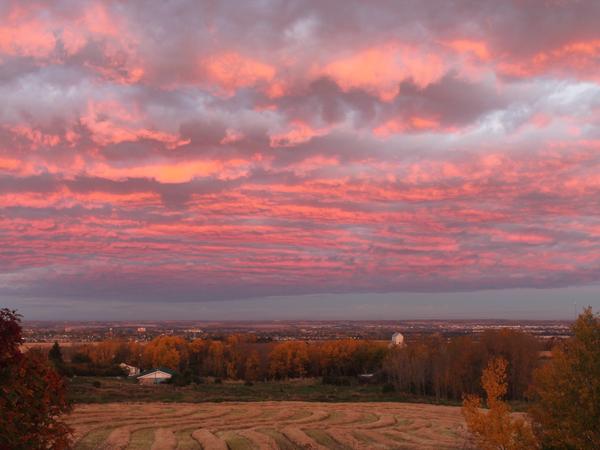 Housesitting assignment in Red Deer, Alberta, Canada
