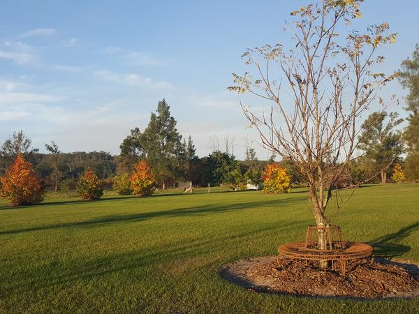 Housesitting assignment in Grafton, New South Wales, Australia