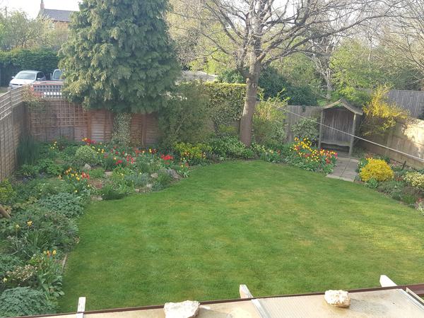 Housesitting assignment in Newbold on Stour, United Kingdom