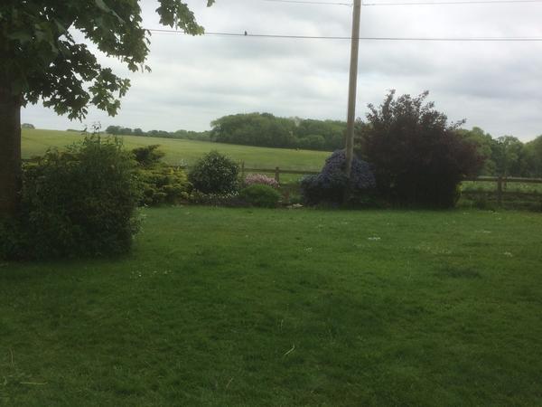 Housesitting assignment in Winchester, United Kingdom