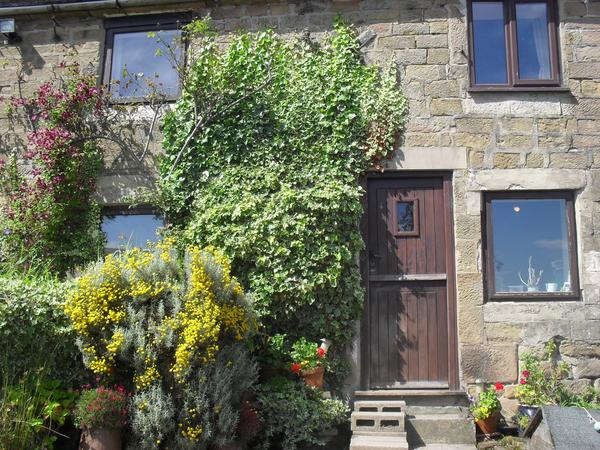 Housesitting assignment in Derby, United Kingdom
