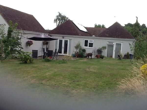 Housesitting assignment in Pershore, United Kingdom