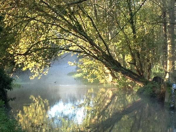 Housesitting assignment in Holybourne, United Kingdom