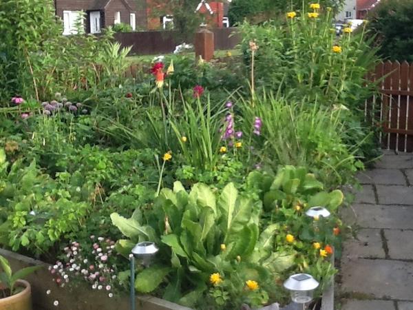 Housesitting assignment in Llanwrtyd Wells, United Kingdom