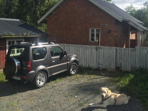 Housesitting assignment in Oslo, Norway