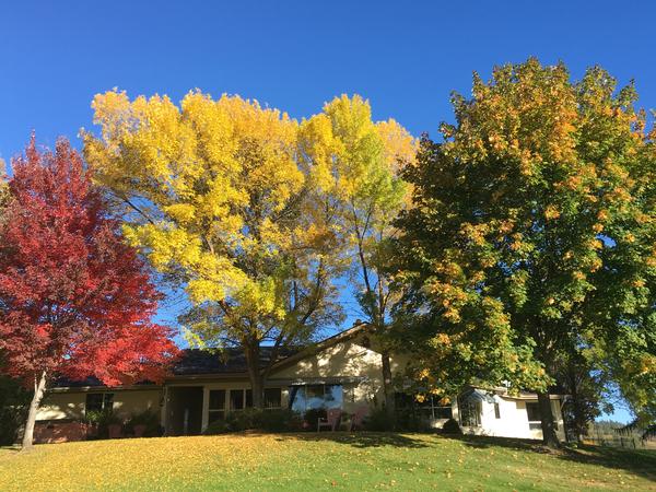 Housesitting assignment in Kamloops, BC, Canada