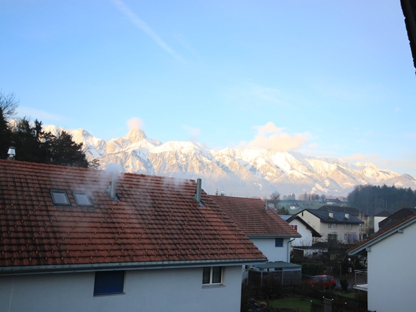 Housesitting assignment in Thun, Switzerland