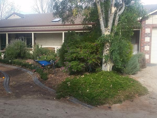 Housesitting assignment in Renmark West, SA, Australia