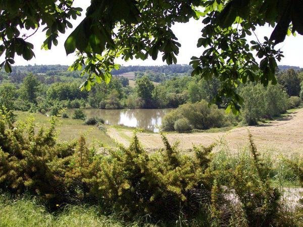 Housesitting assignment in Mussidan, France