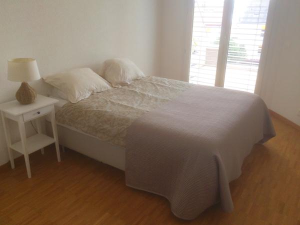 Housesitting assignment in Lausanne, Switzerland