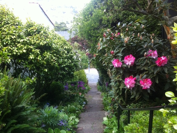 Housesitting assignment in San Francisco, CA, United States