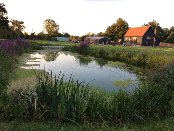Housesitting assignment in Diss, United Kingdom
