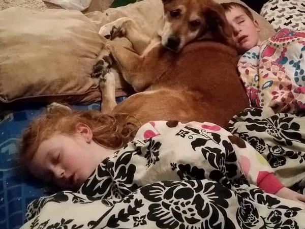 Housesitting assignment in Manteca, California, United States