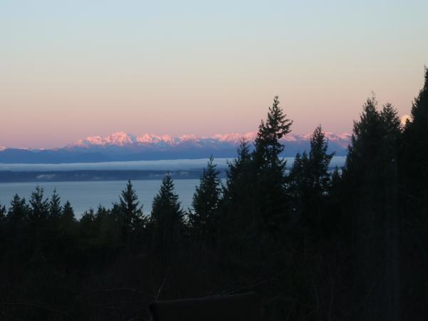 Housesitting assignment in Edmonds, WA, United States