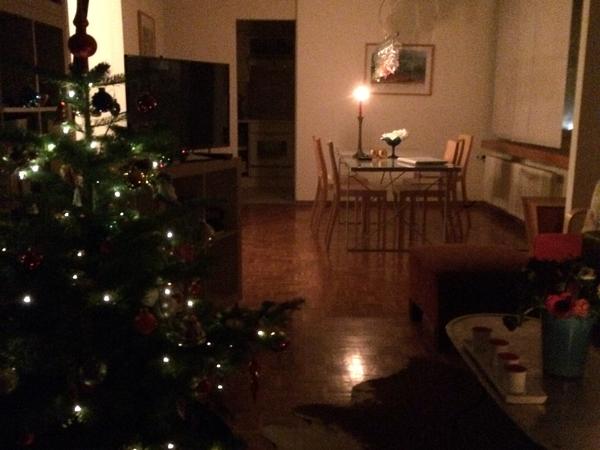 Housesitting assignment in Zürich, Switzerland