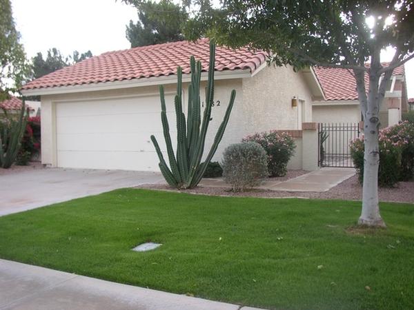 Housesitting assignment in Chandler, AZ, United States