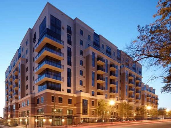 Housesitting assignment in Washington, D.C., DC, United States