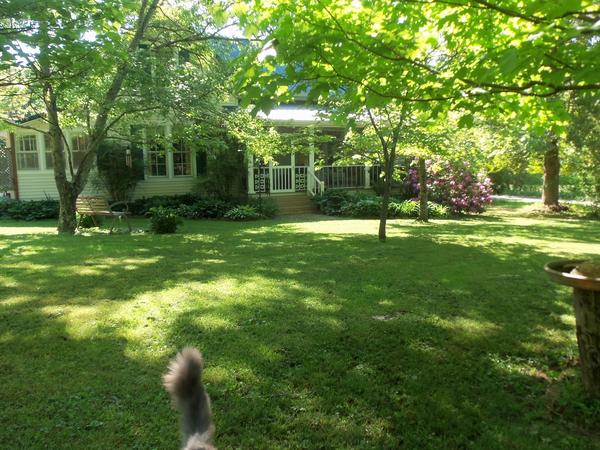 Housesitting assignment in McMinnville, TN, United States