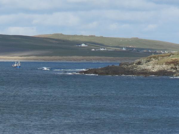 Housesitting assignment in Sumburgh, United Kingdom