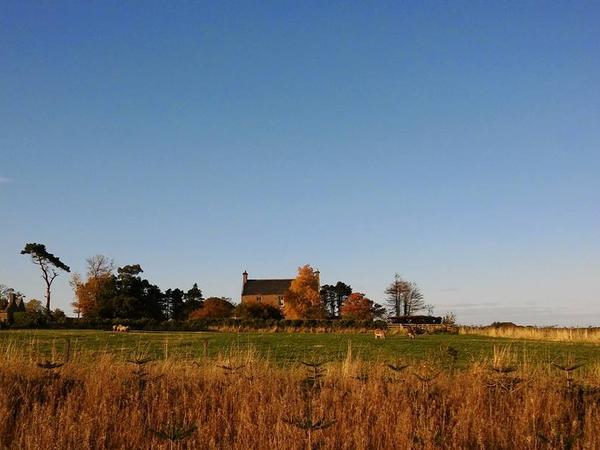 Housesitting assignment in Elgin, United Kingdom