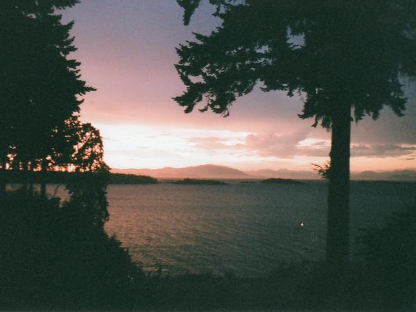 Housesitting assignment in Nanaimo, British Columbia, Canada