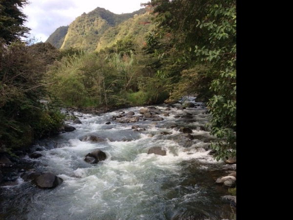 Housesitting assignment in Apuela, Ecuador