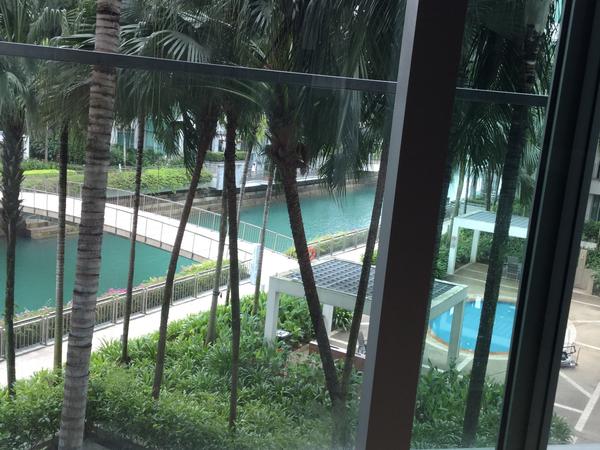 Housesitting assignment in Bukit Merah Estate, Singapore