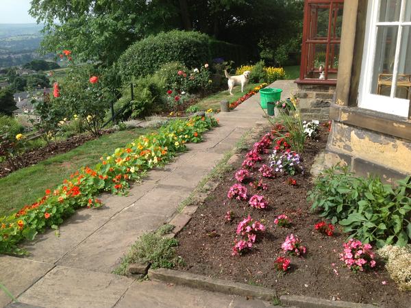 Housesitting assignment in Halifax, United Kingdom