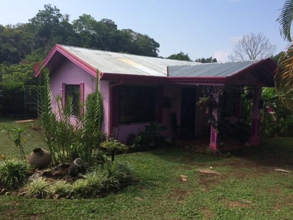 Housesitting assignment in San Isidro, Costa Rica