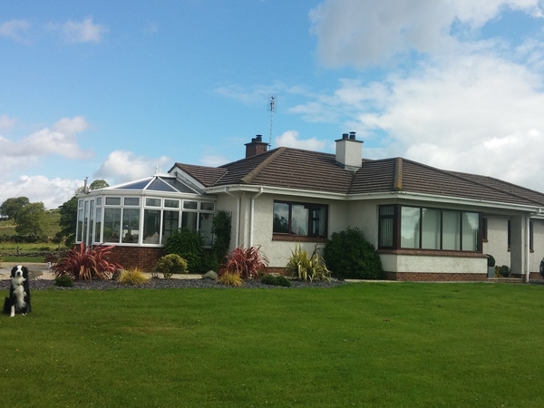 Housesitting assignment in Annahilt, United Kingdom