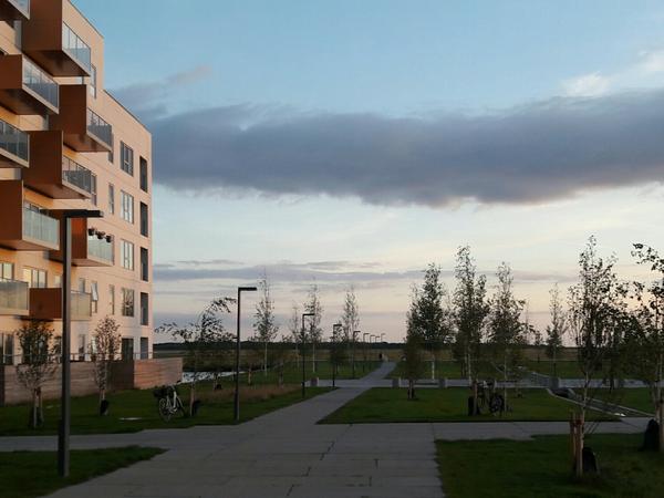 Housesitting assignment in Copenhagen, Denmark