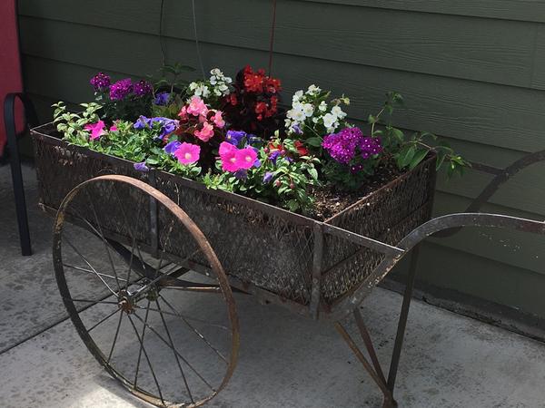 Housesitting assignment in Battle Ground, Washington, United States