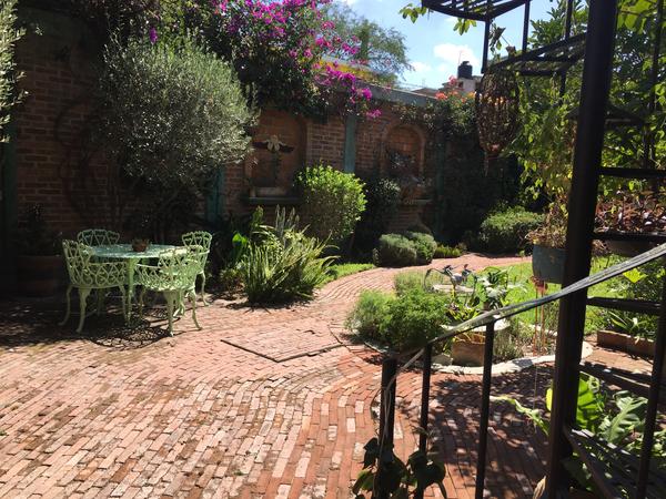 Housesitting assignment in San Miguel de Allende, Mexico