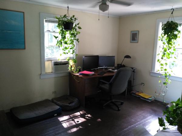 Housesitting assignment in Athens, GA, United States