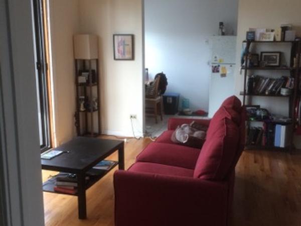 Housesitting assignment in Chicago Loop, Illinois, United States